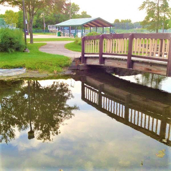 Ideally located for nature enthusiasts, with direct access to the scenic Shingle Creek Region Trail and Centennial Park.